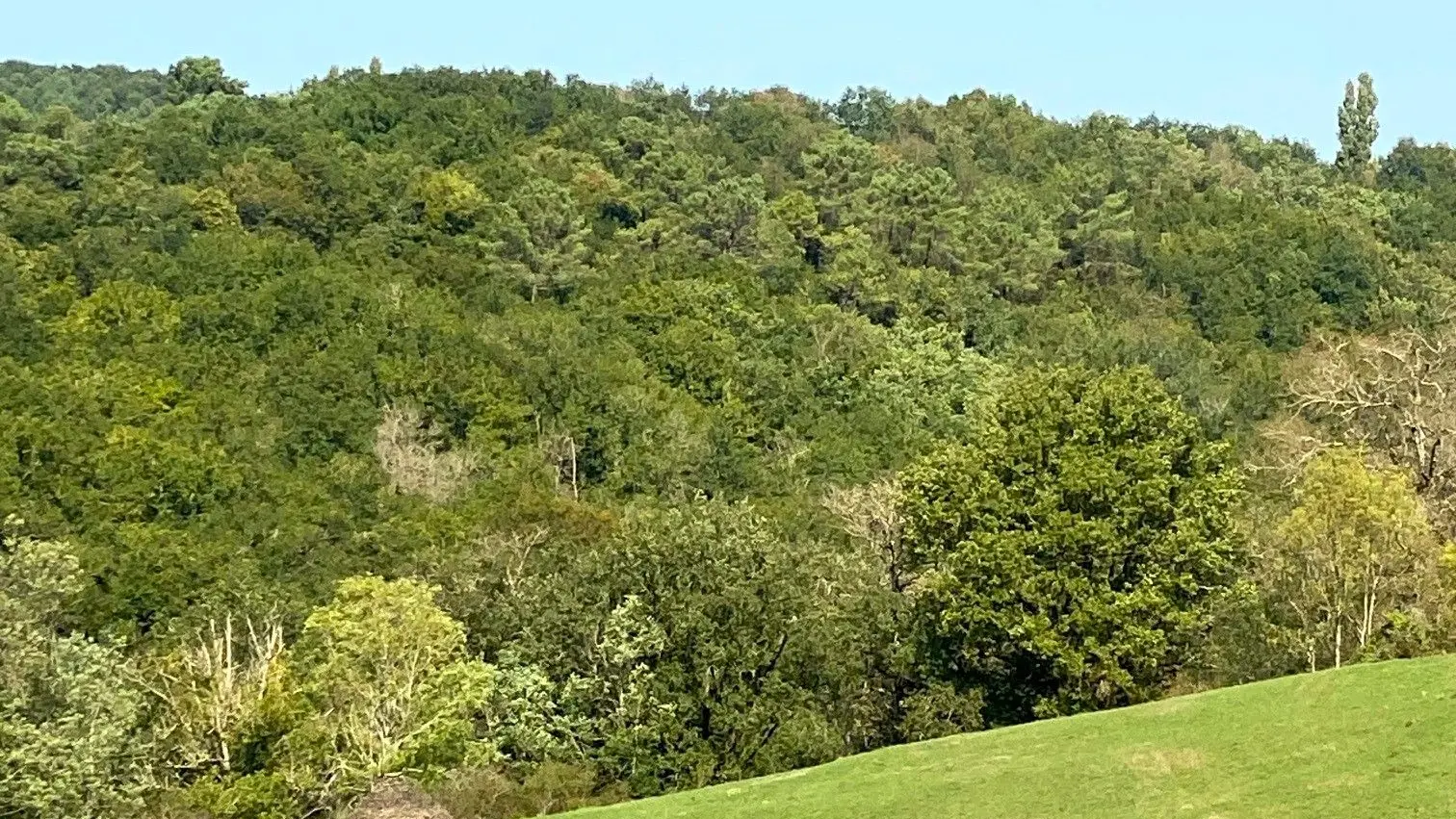 TAMNIES-Boucle du Pech Malat-Paysage