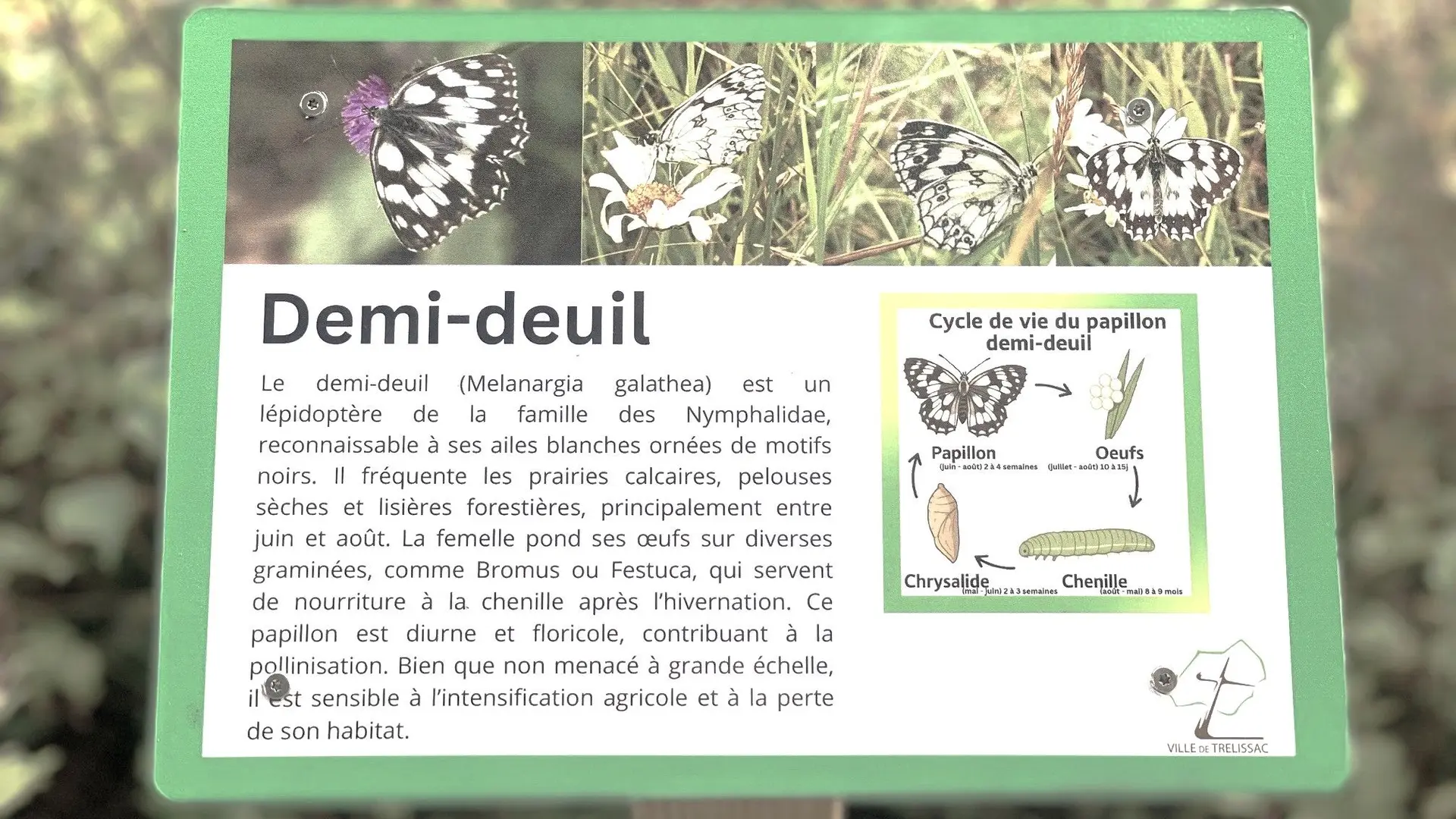 TRELISSAC-Boucle de Caussade-Info nature
