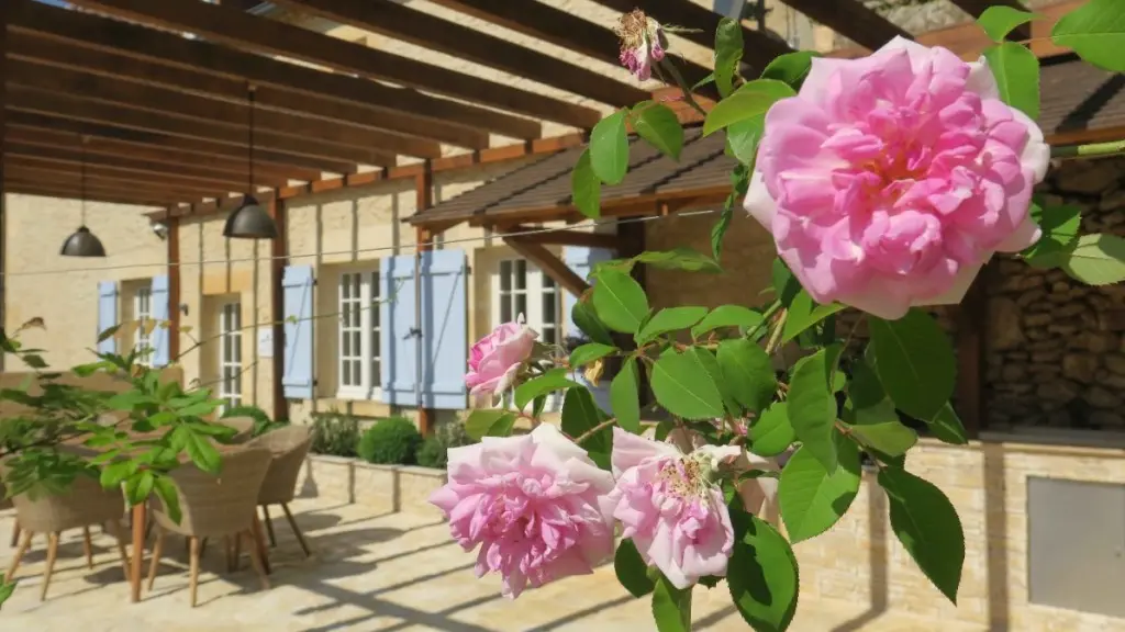 UDINK-MAISON-DU-CEDRE--9-