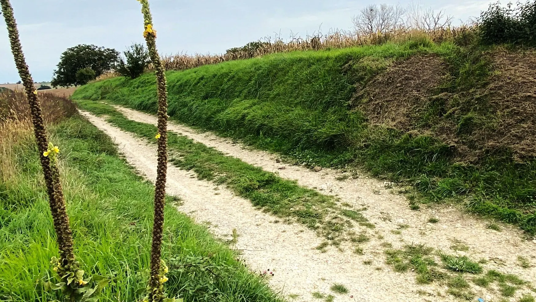 VALEUIL-Boucle de Valeuil-Chemin 2