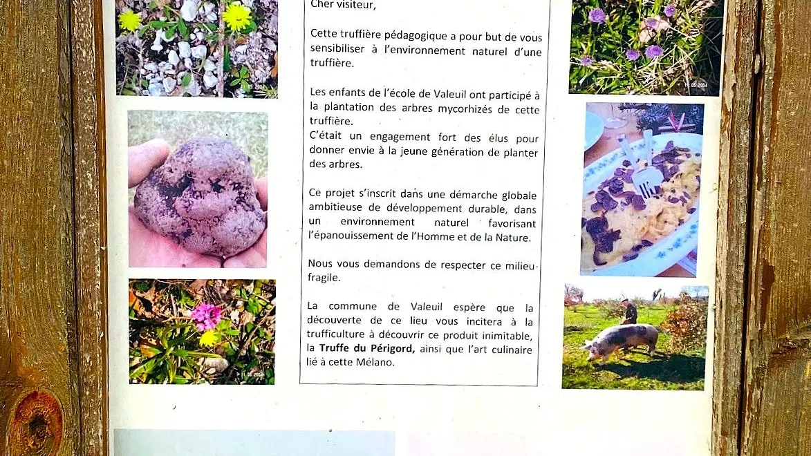 VALEUIL-Boucle de Valeuil-Panneau Truffiere 2