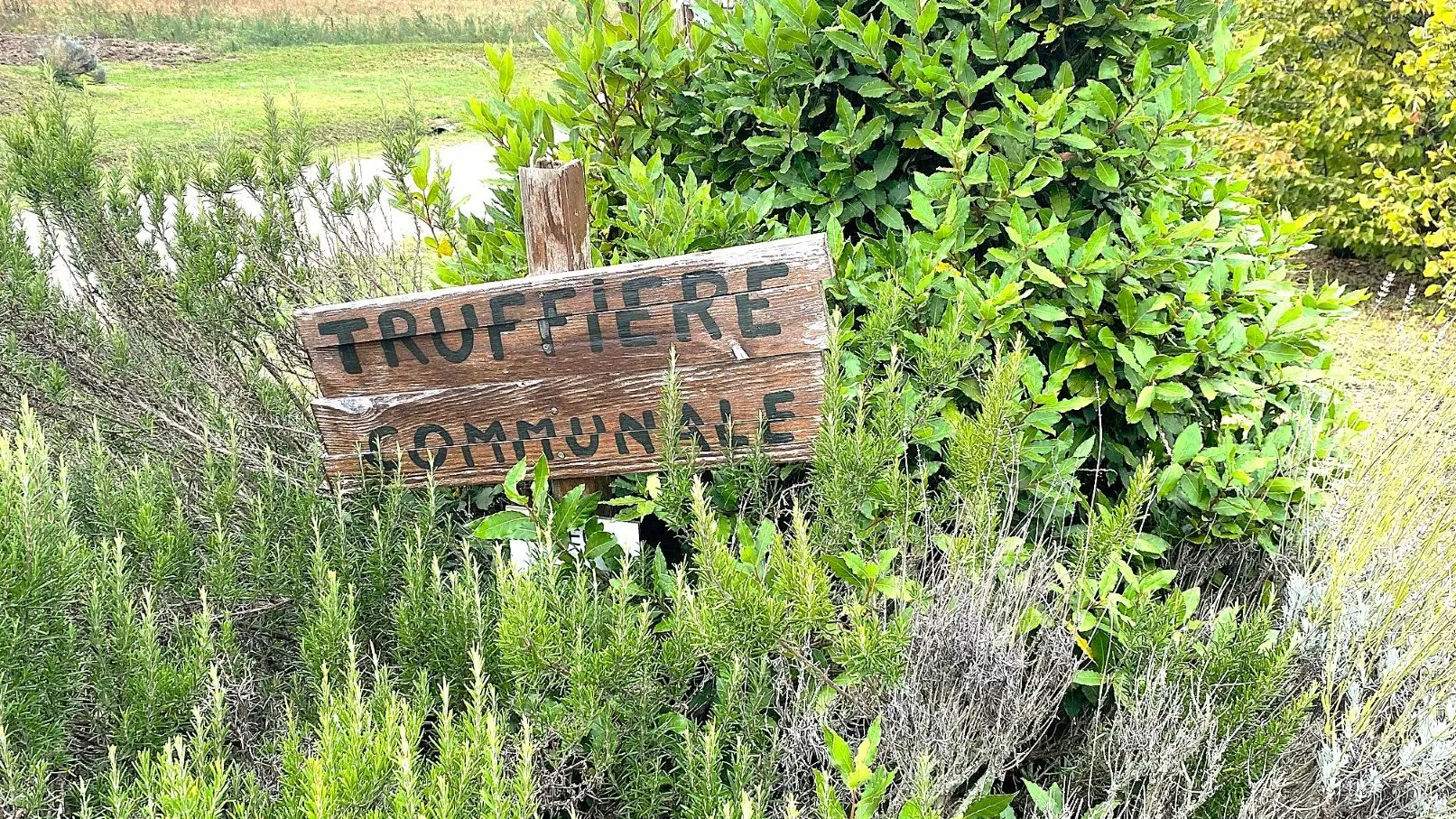 VALEUIL-Boucle de Valeuil-Truffiere