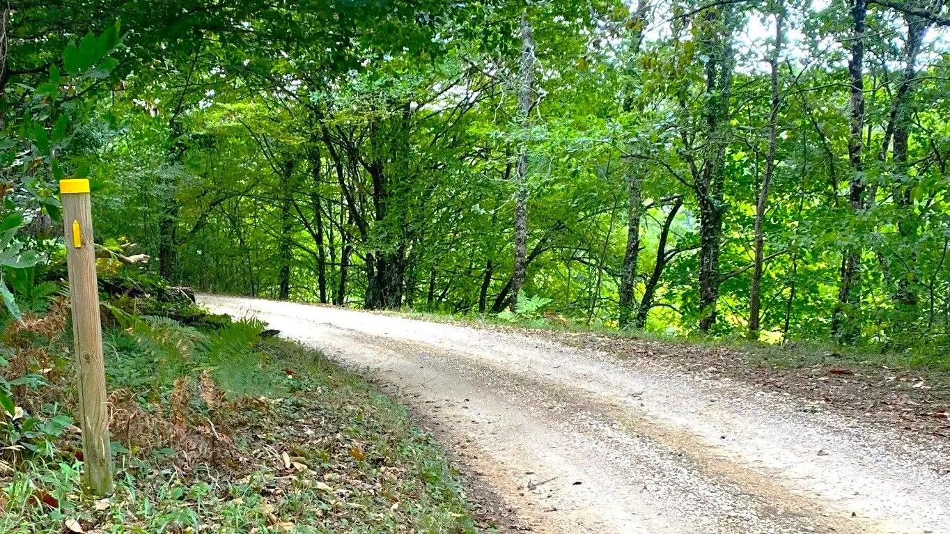 VERGT-Boucle des Crêtes-Chemin-Poteau 2