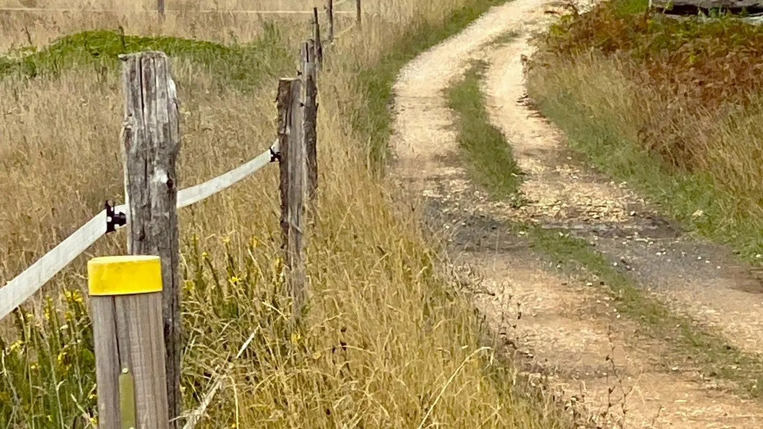 VERGT-Boucle des Crêtes-Chemin-Poteau