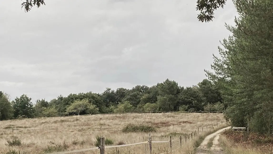 VERGT-Boucle des Crêtes-Chemin