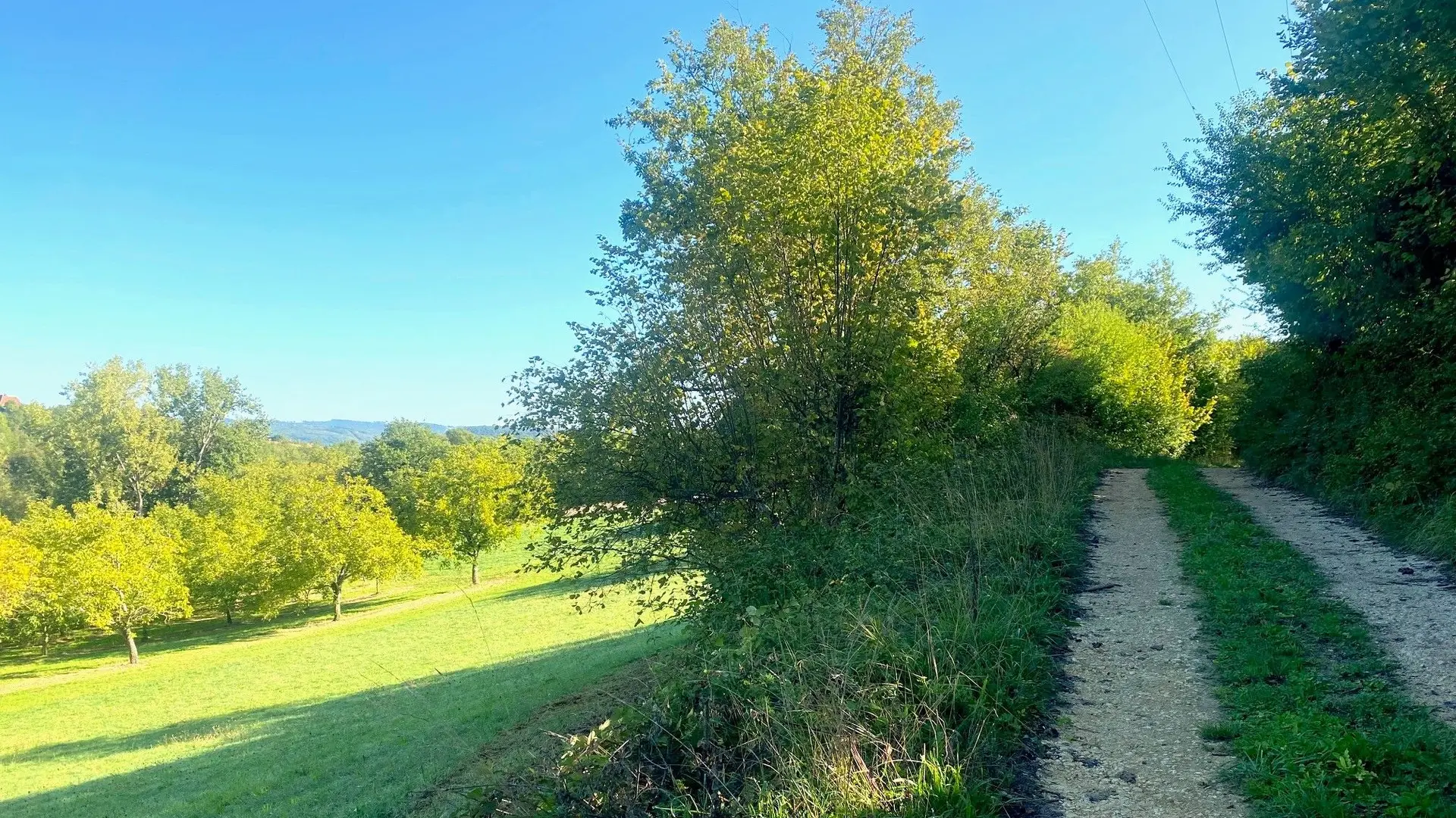 VEYRINES-DE-DOMME-Boucle de Lapeyre-Chemin 2