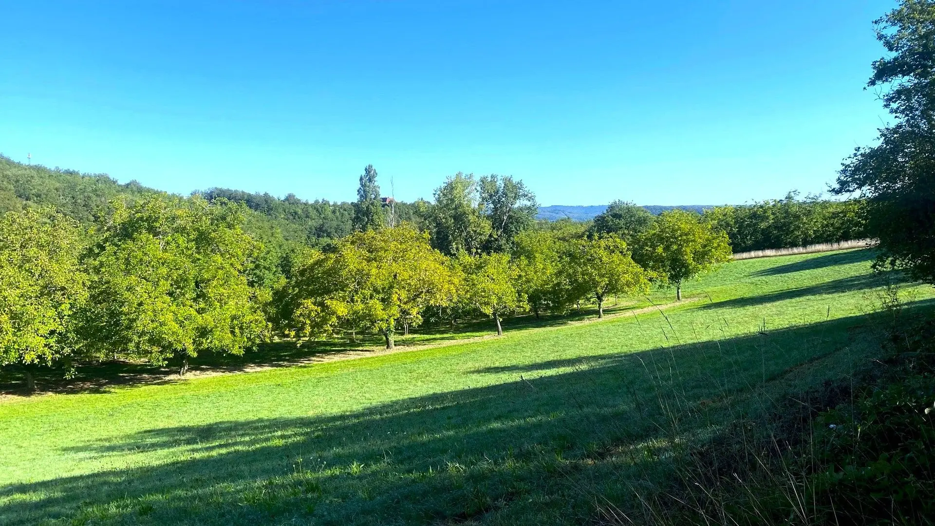 VEYRINES-DE-DOMME-Boucle de Lapeyre-Paysage