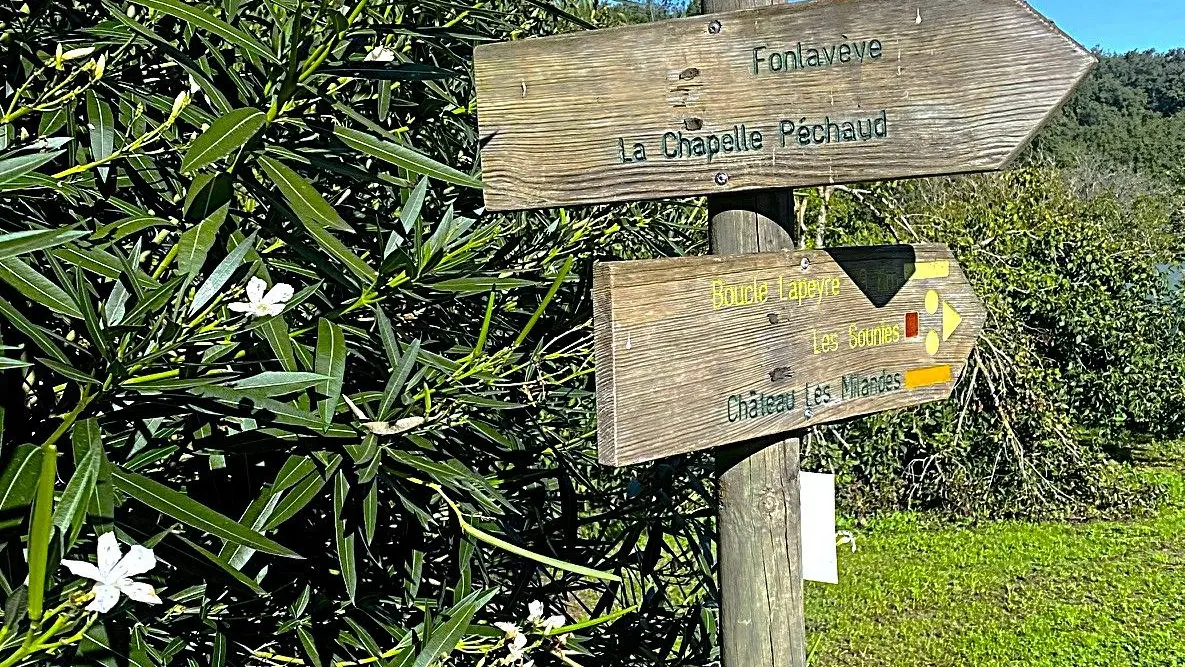 VEYRINES-DE-DOMME-Boucle de Lapeyre-Signalétique