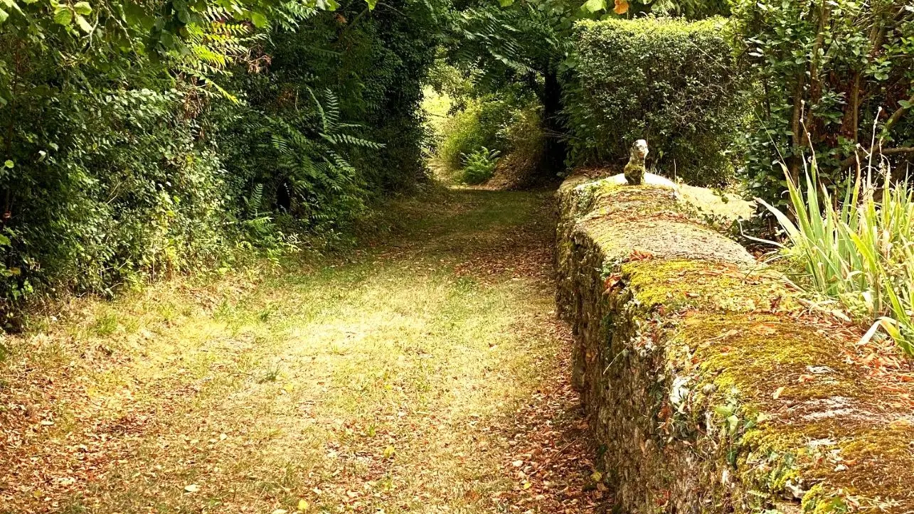 VEYRINES-DE-VERGT-Boucle du 45ème parallèle-Chemin