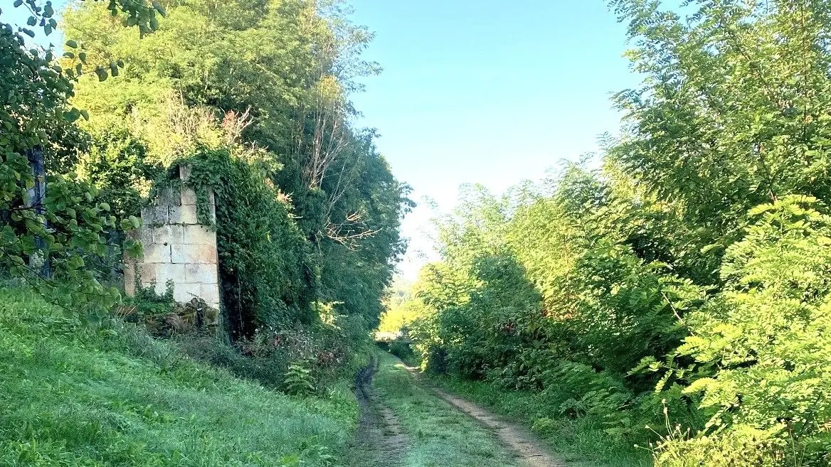 VEZAC-Boucle des Moulins-Chemin