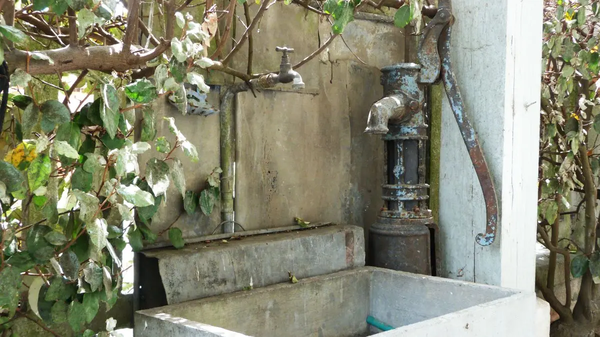 Violette-fontaine (16)
