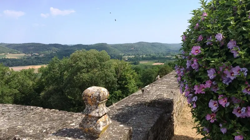 Château de Fénelon