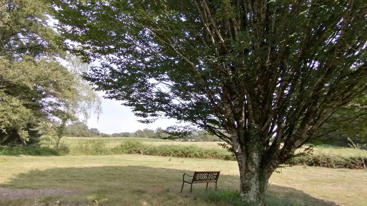 Vue sur la campagne