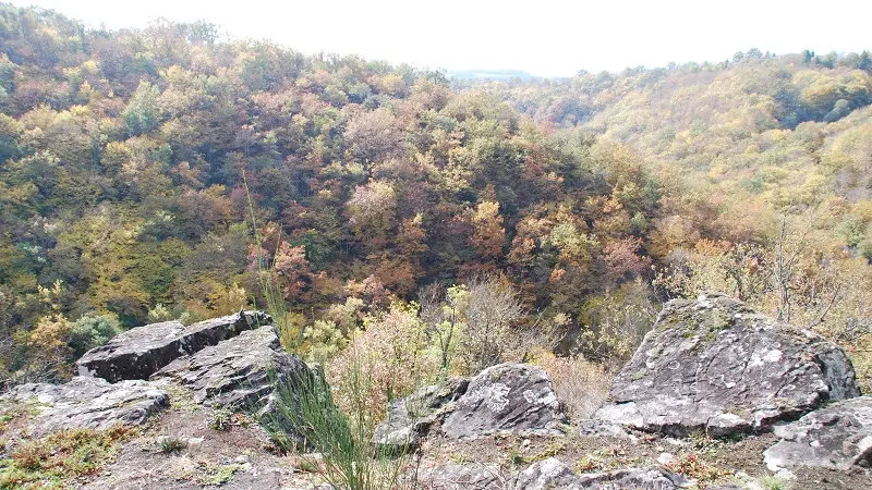 Vue sur les Gorges2