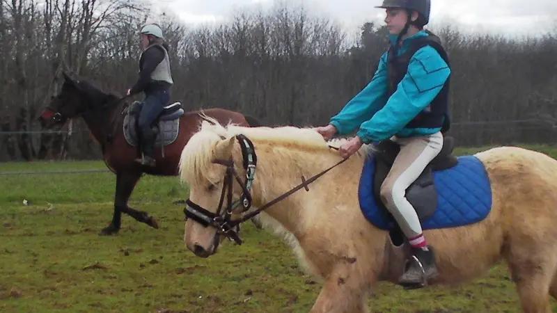 au-cheval-qui-brouste-cours