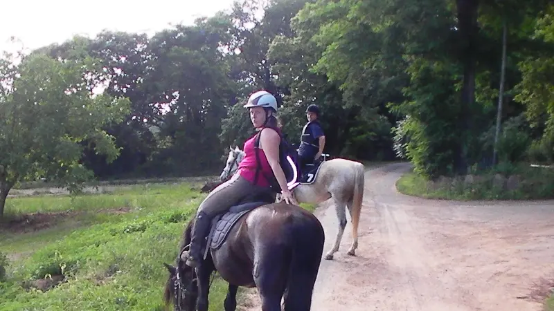 au-cheval-qui-brouste-balade-adulte