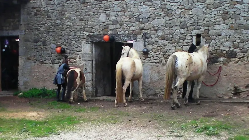 au-cheval-qui-brouste-preparation