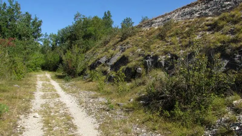 au pied du plateau, le sentier passe dans la fraicheur des arbres