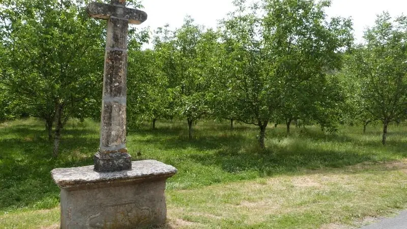 aubas sirtaqui2