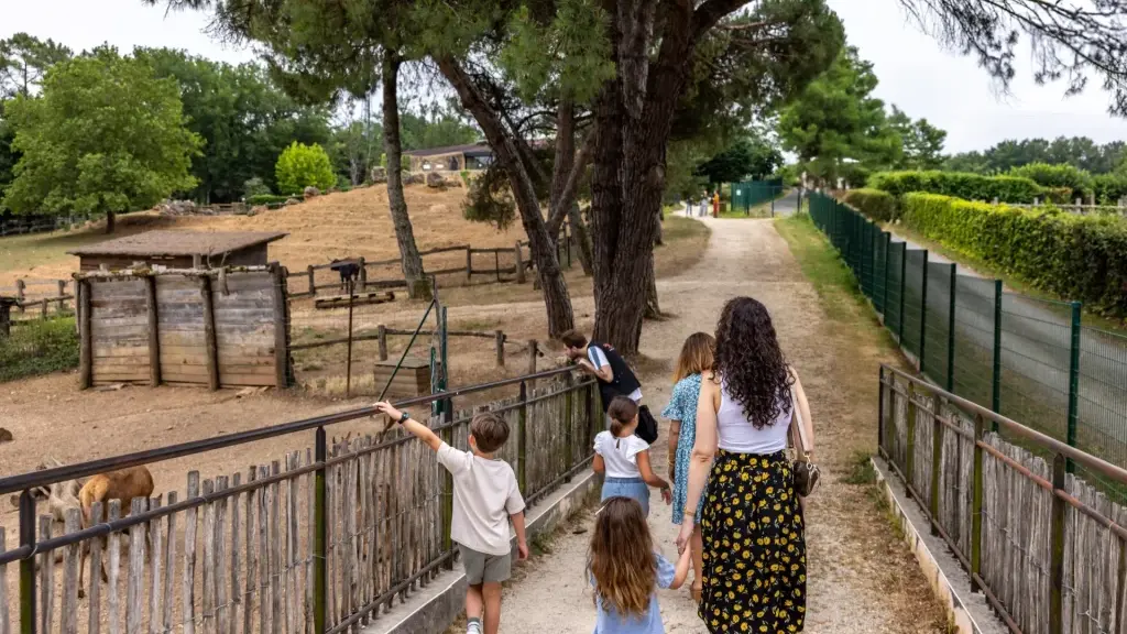 balade-en-famille-thot-fs6a8687-shooting-famille-we-like-travel-semitour-juillet-2025declicdecolle-1024x683