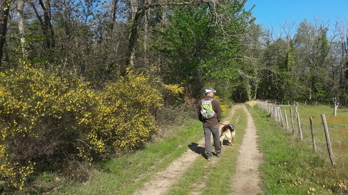 boucle-de-fratteau-neuvic