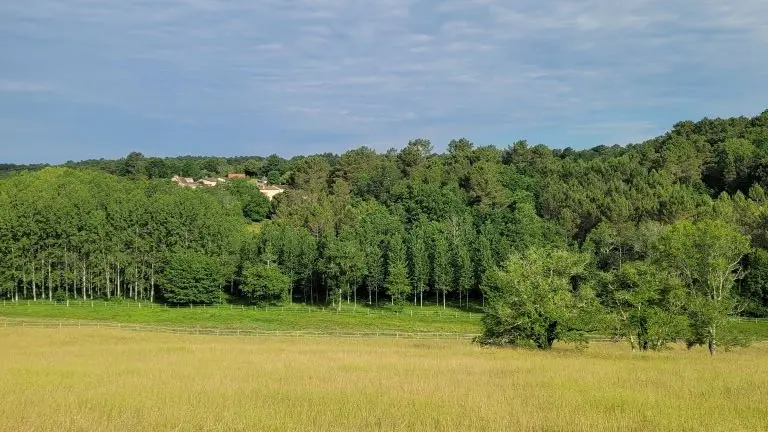 boucle du nègre St Severin