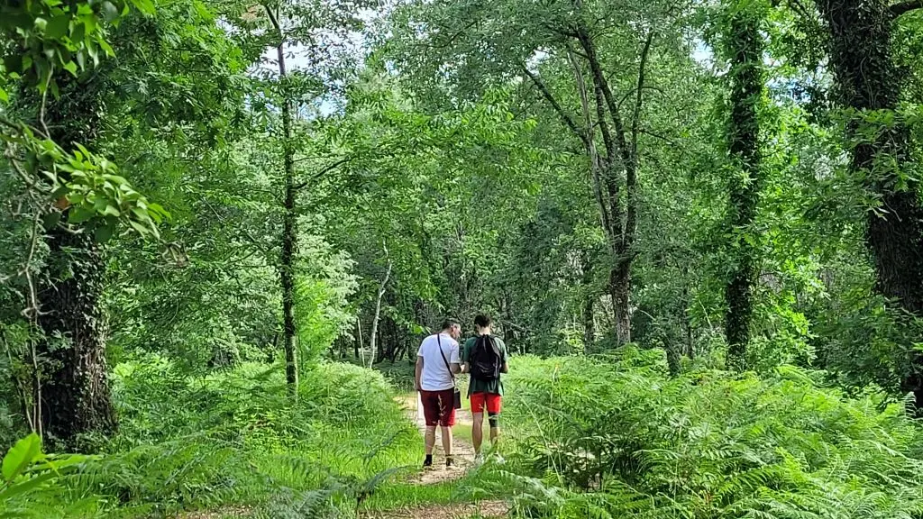 boucle du nègre St Severin
