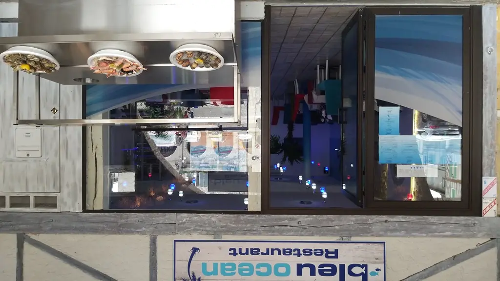 bleuocean01