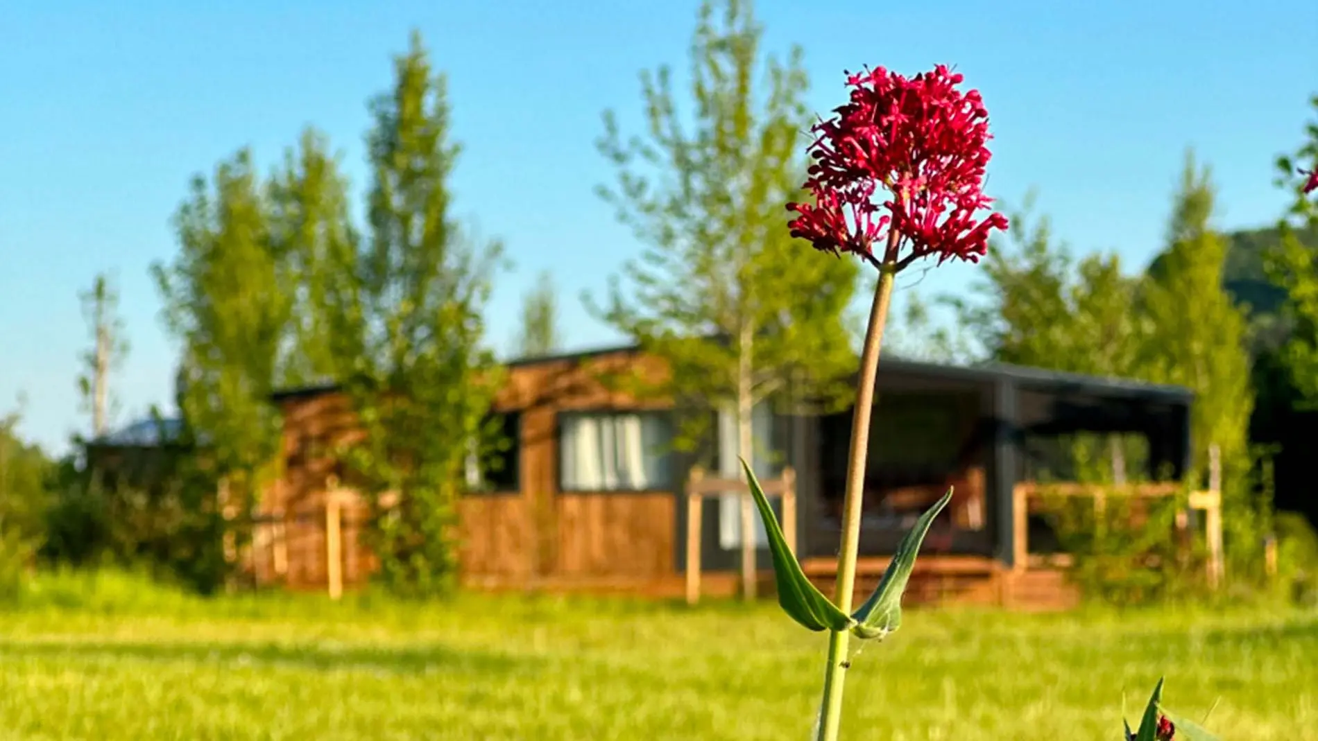 Camping les Cinq Chateaux - Vézac