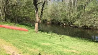 camping de la vergne (4)