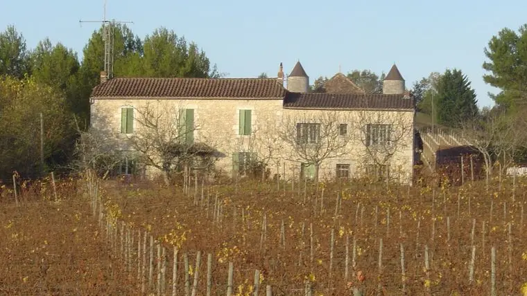 capelbourg_molle(1)