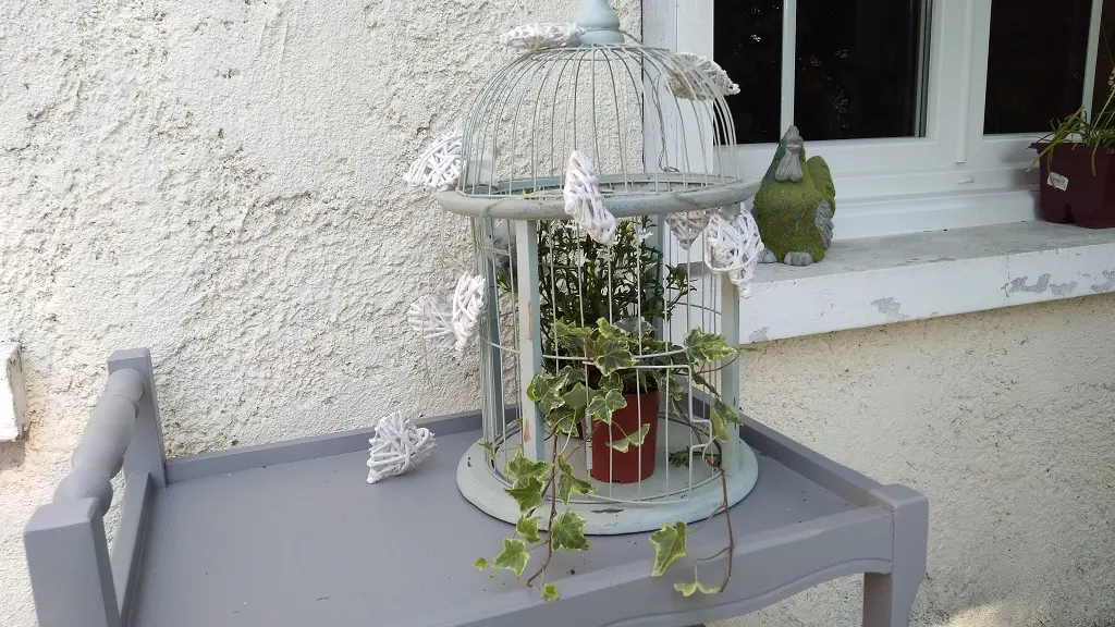 Cage au jardin