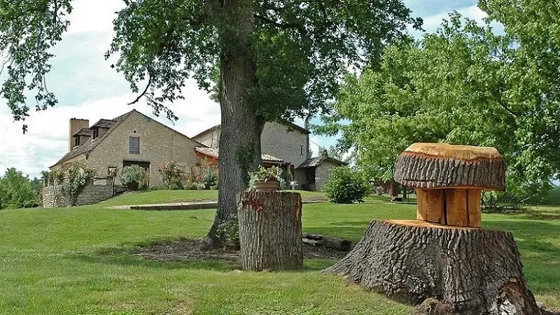 ch-hotes-Buisson-st-geraud-de-corps-champignon