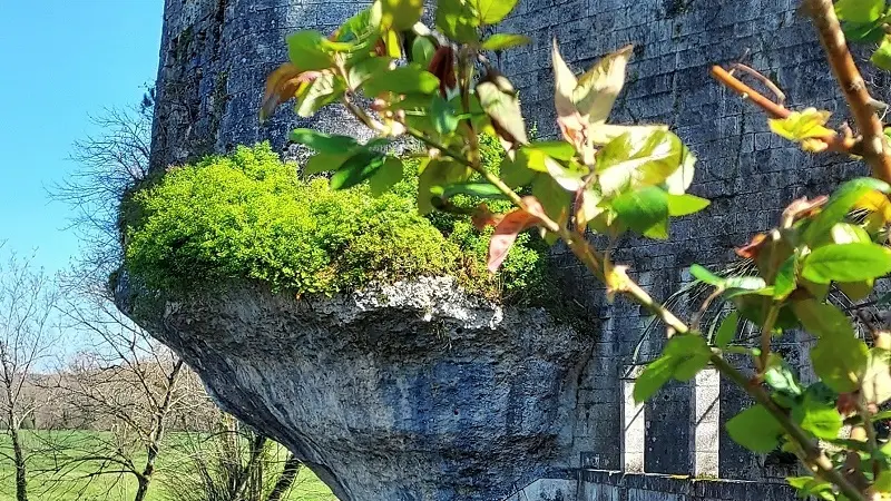 château des sénéchaux 5