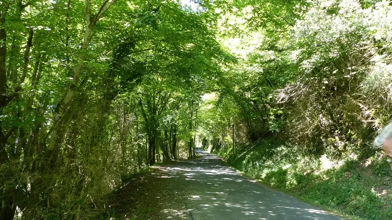 chemin de randonnée