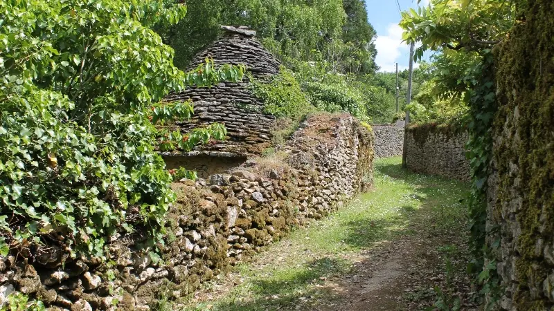 chemin_nerval_salamandre