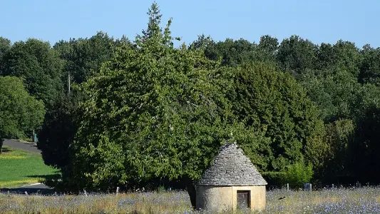 corgnac cabane