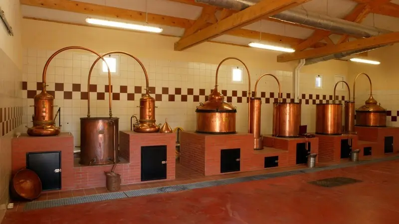 distillerie