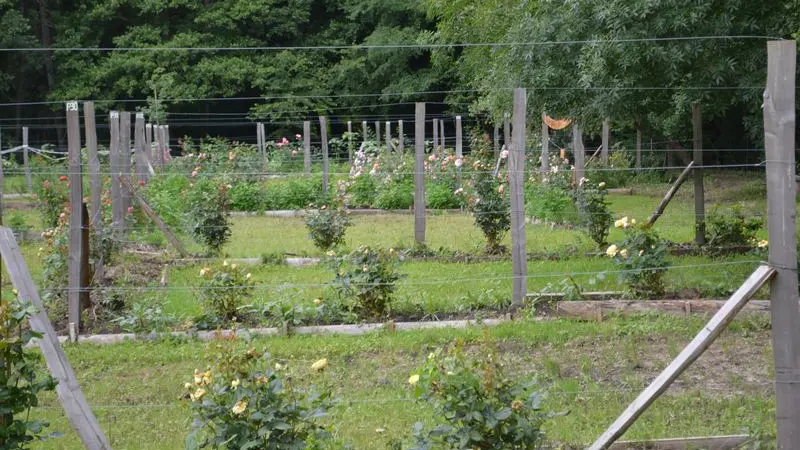 edenetsens-reclus--5-