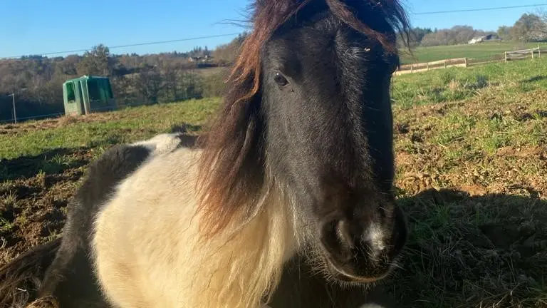 Ferme Équi’libre