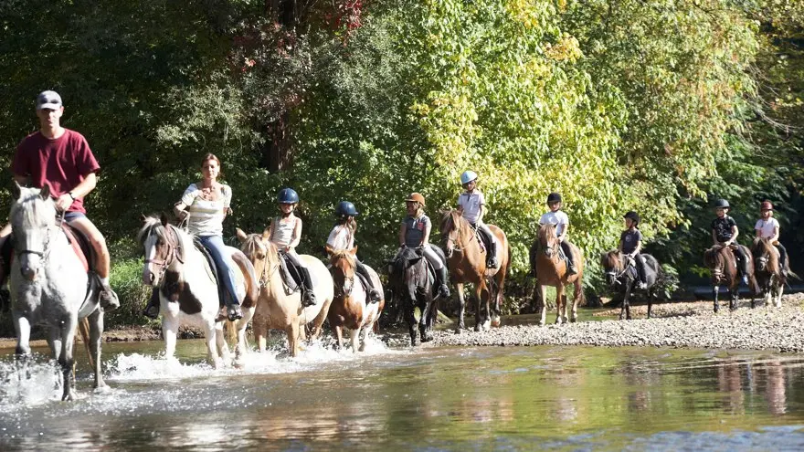 équitation