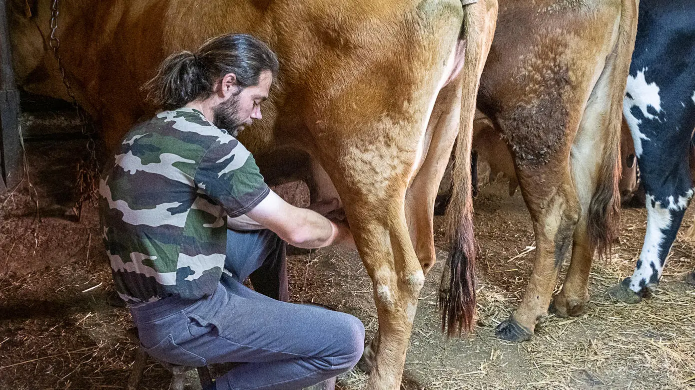 ferme de beausoleil-0825