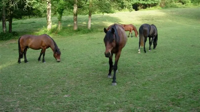 Ferme de Grand Jean