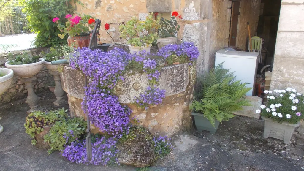 un cadre fleuri et accueillant