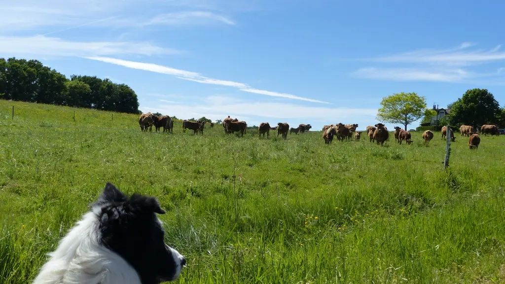 vue sur la campagne