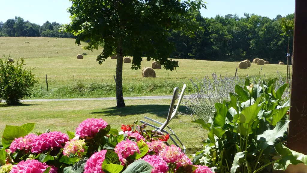 La terrasse fleurie