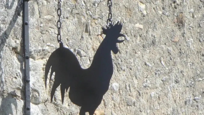 gite-la-ferme-du-coq-martial-sourzac-piscine