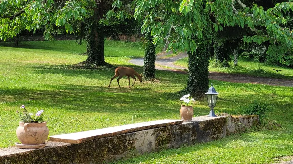 gite-le-faurillou-jaure