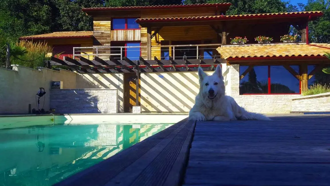 la piscine