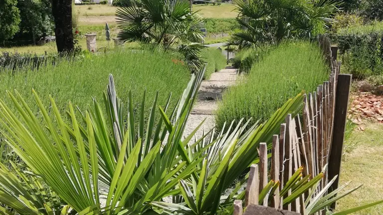 le chemin d'accès au gîte